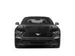 2019 Ford Mustang 2DR