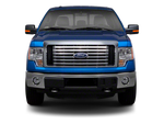 2010 Ford F-150 TRUCK