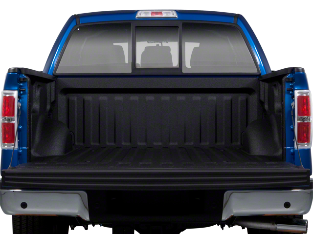 2010 Ford F-150 TRUCK