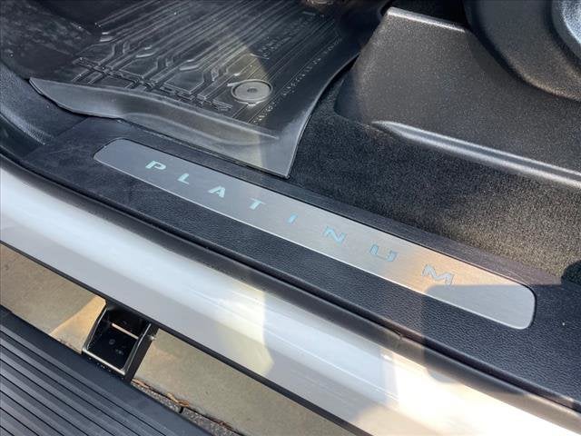 2017 Ford Super Duty F-250 SRW Platinum