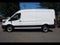 2023 Ford Transit Cargo Van 250