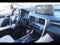 2021 Lexus RX RX 350